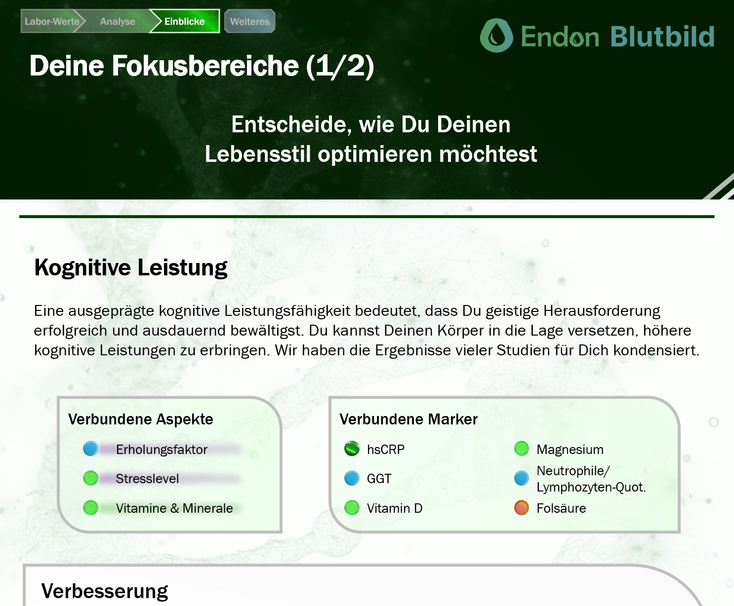 Optimierung Dashboard