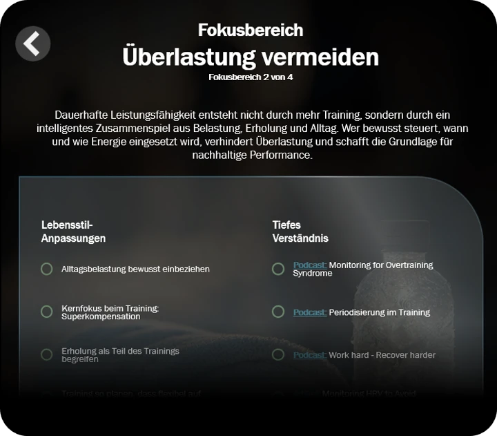 Deine Hebel. Gezielt optimieren. Darstellung